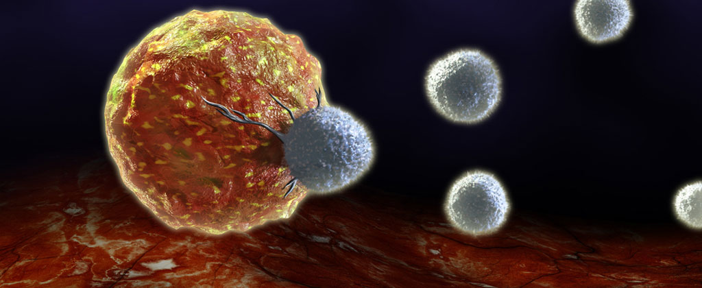 How To Prevent Disease For Life